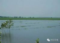息县淮河国家湿地公园