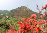 从化通天蜡烛山