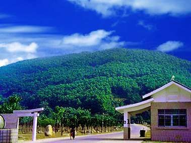 蕉石岭森林公园