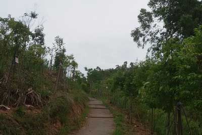 朱岭寨森林公园