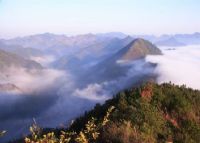杨家坪风景区