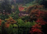 历居寺