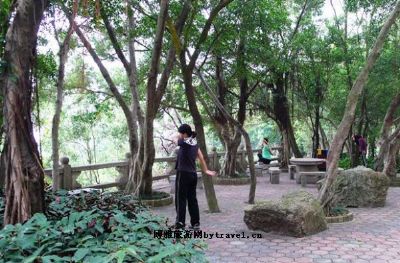 板障山森林公园