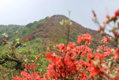 从化通天蜡烛山