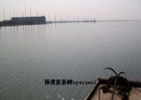 赛城湖候鸟保护区