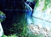 井冈山蛤蟆落井