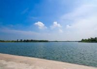 太仓金仓湖湿地公园