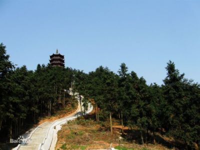 卓望山森林公园