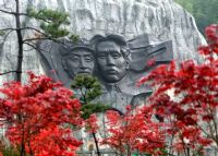 十里杜鹃长廊
