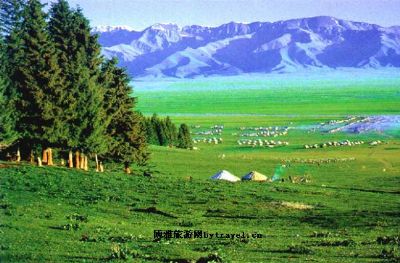 花园山庄