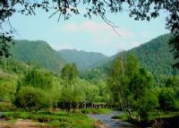 岷山国际狩猎场