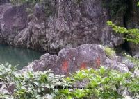 新港自然保护区