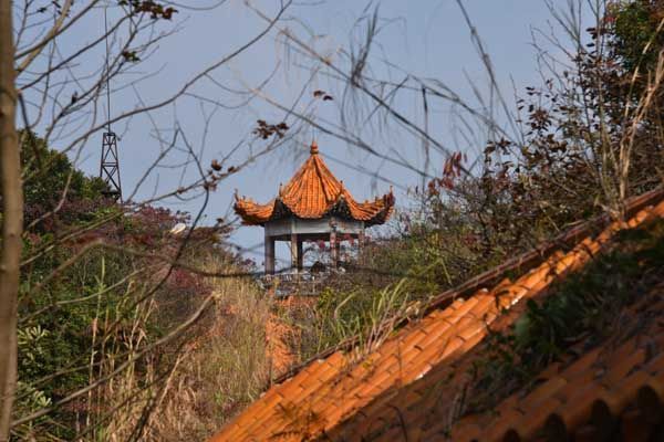 天鹿湖森林公园