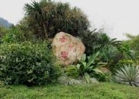 广州滴水岩森林公园