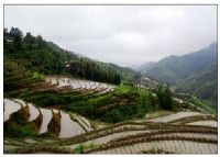 谢坪梯田