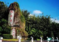 雁南飞茶田景区