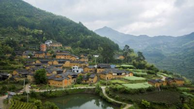 酉田村