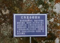 百贰坵田藏莲寺