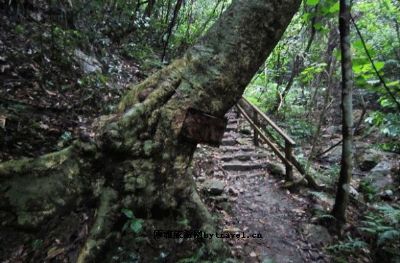 同乐大山原生态景区