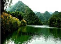杨梅千年古树群风景区