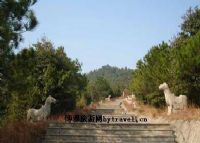 梯面山水旅游镇