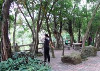 板障山森林公园