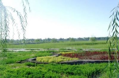 江西潋江国家湿地公园