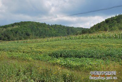 头道沟战斗遗址