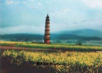 仰山文塔