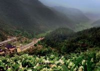 社姆山风景名胜区