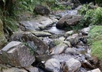 蒲垌自然生态旅游区