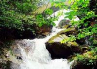 白水仙风景区