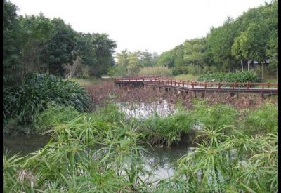 广州大沙河湿地公园