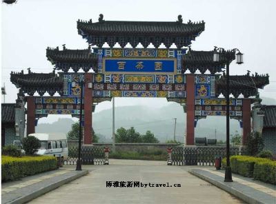百茶园