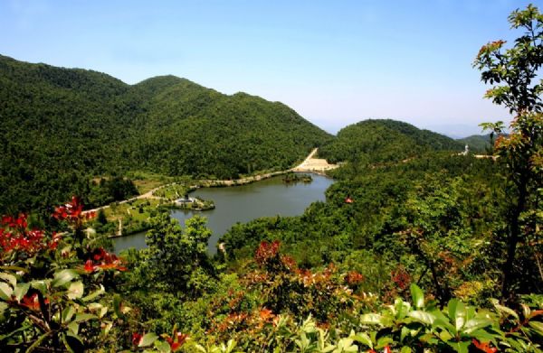 三百山森林公园