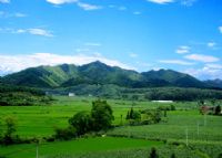 万家岭大捷遗址
