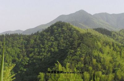 杨岐山