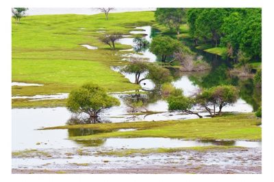 碾子山雅鲁河国家湿地公园