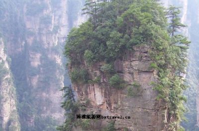 灵溪河森林公园