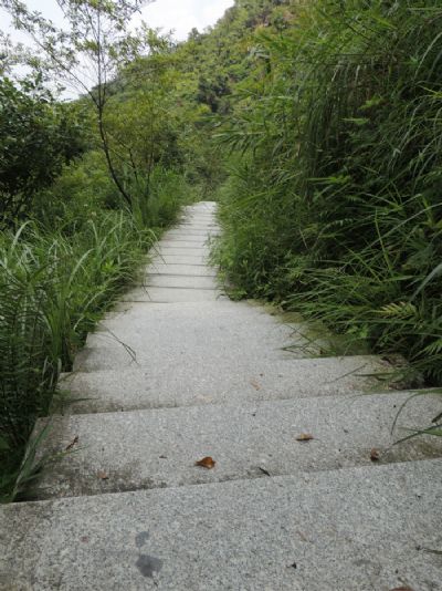 南海湾森林生态园(西岸森林生态园)