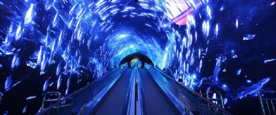 正佳极地海洋世界