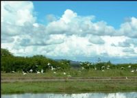 公平大湖自然保护区