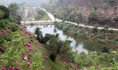 从化大金峰生态景区