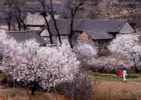 东江龙川生态旅游景区