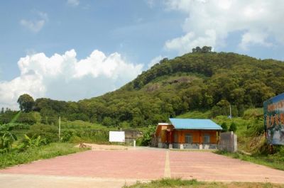 南万红锥林省级自然保护区