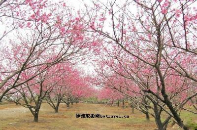 庐山桃花源景区