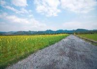 顺昌县来布水利风景区