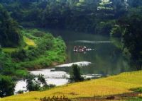 黄石坳自然保护区