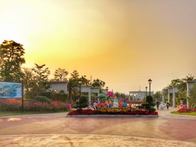 美的鹭湖森林度假区爱丽丝仙境花海