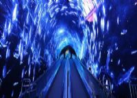 正佳极地海洋世界